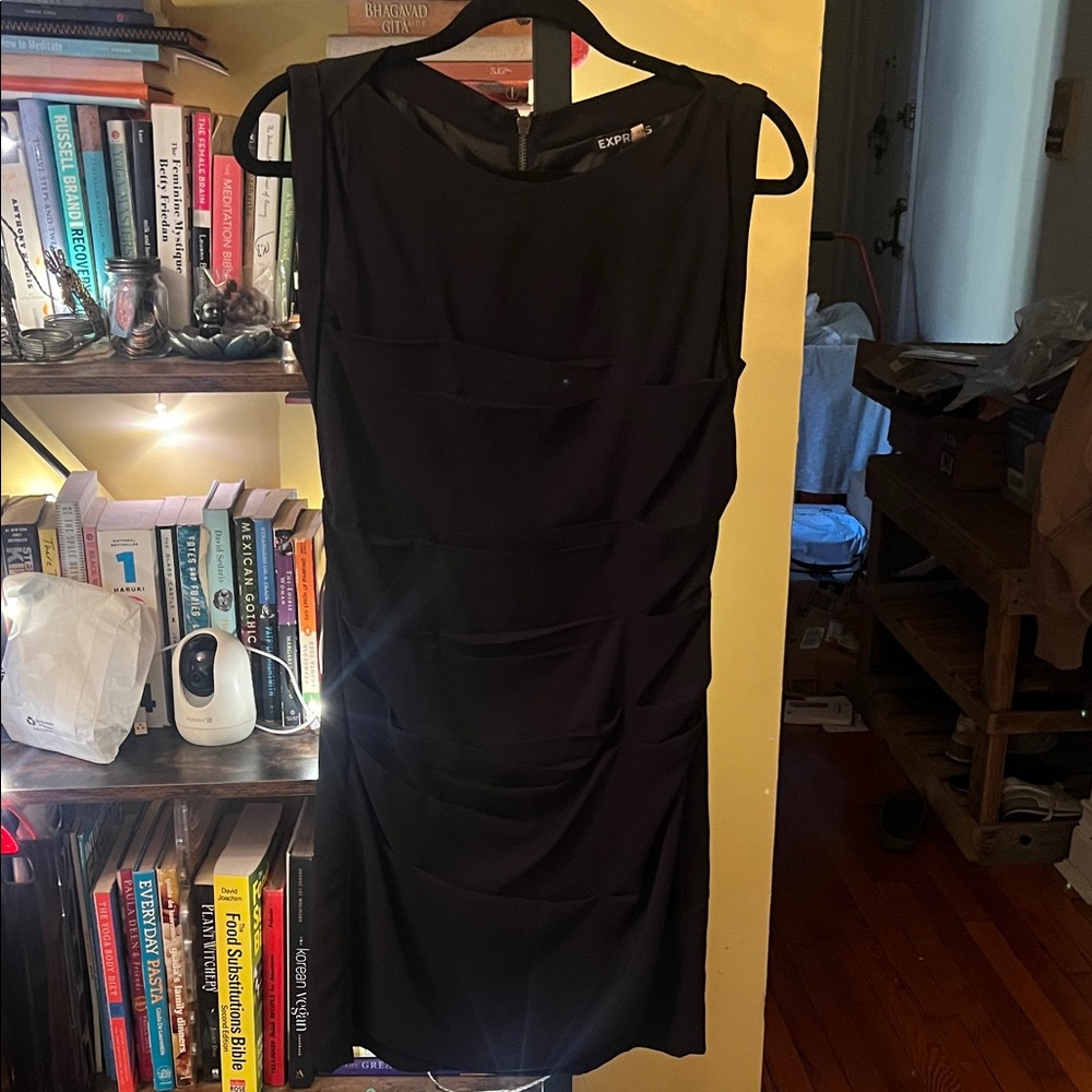 Express Black Mini Dress